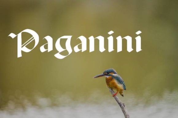 Paganini: A Bold Typeface for Editorial Design